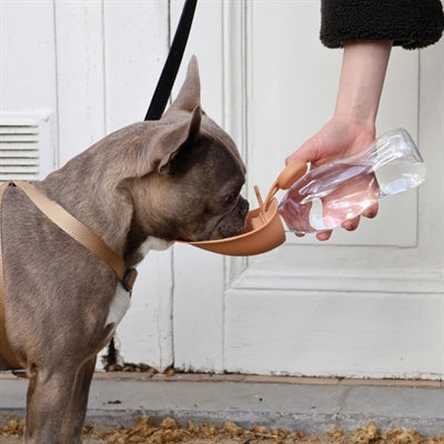 Martin Trinkflasche Mit Silikon-Trinkbehälter, Rosa 500 Ml